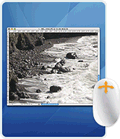 Apple Mouse